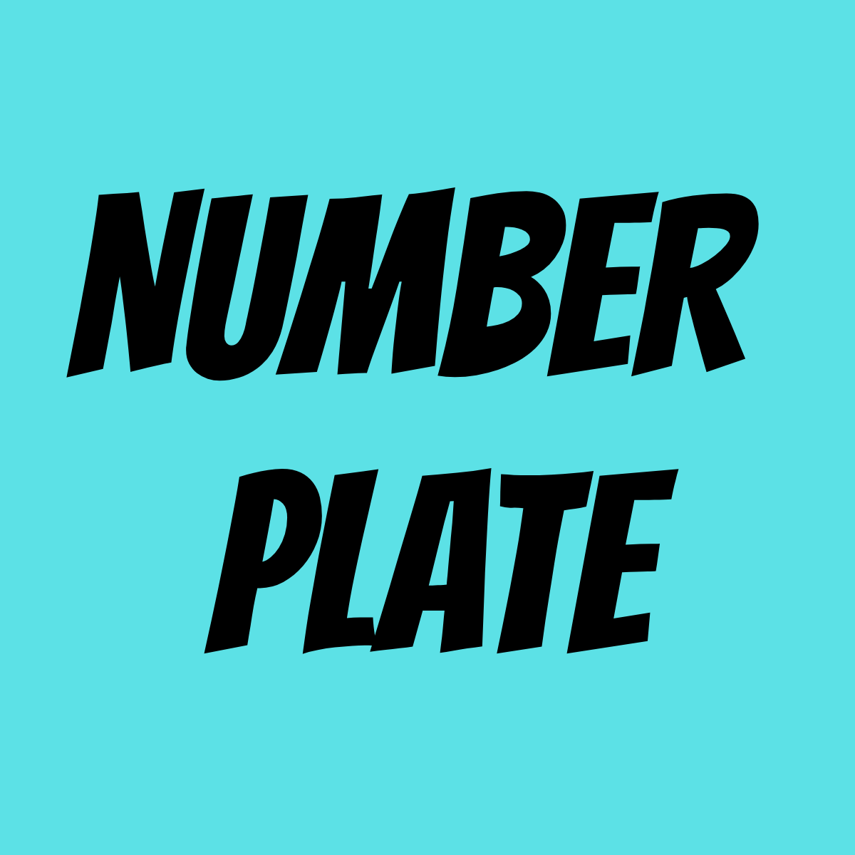 ENTRANT NUMBER PLATE